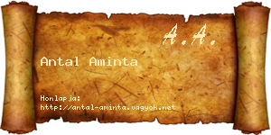 Antal Aminta névjegykártya